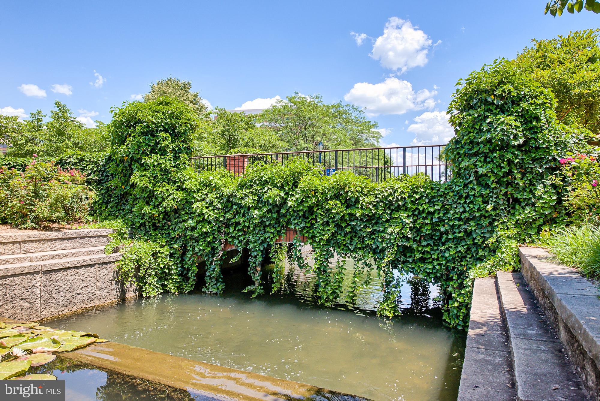 DOWNTOWN FREDERICK - Residential