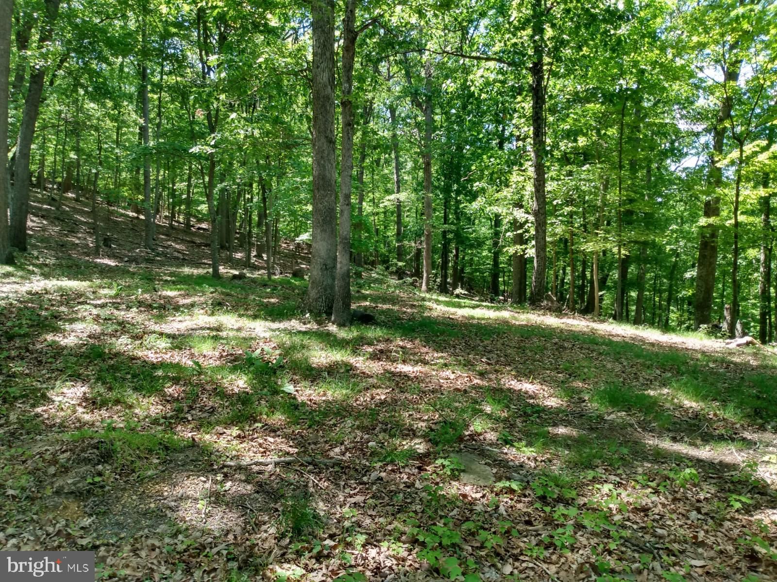 ROUSE MOUNTAIN - Land