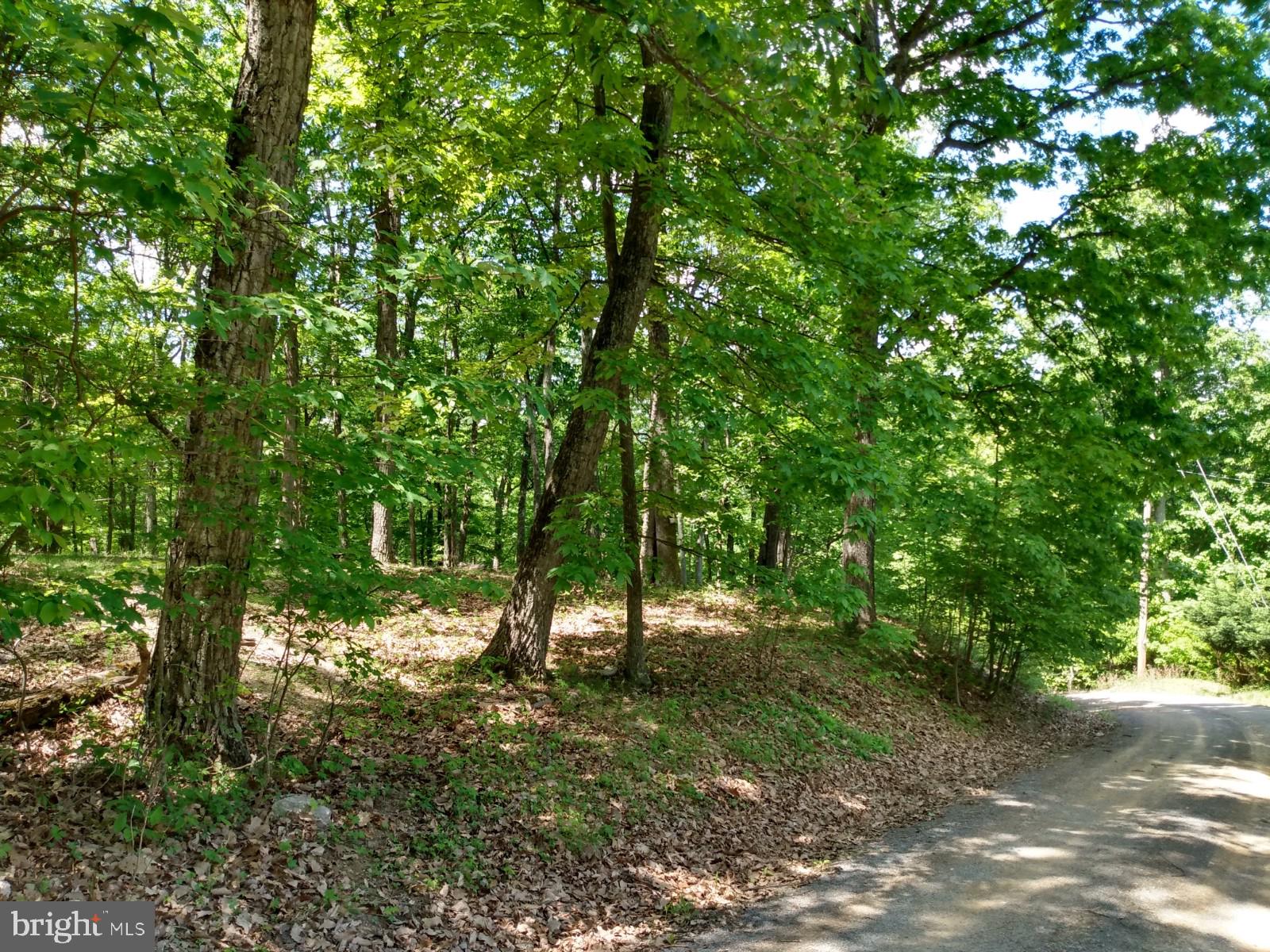 ROUSE MOUNTAIN - Land