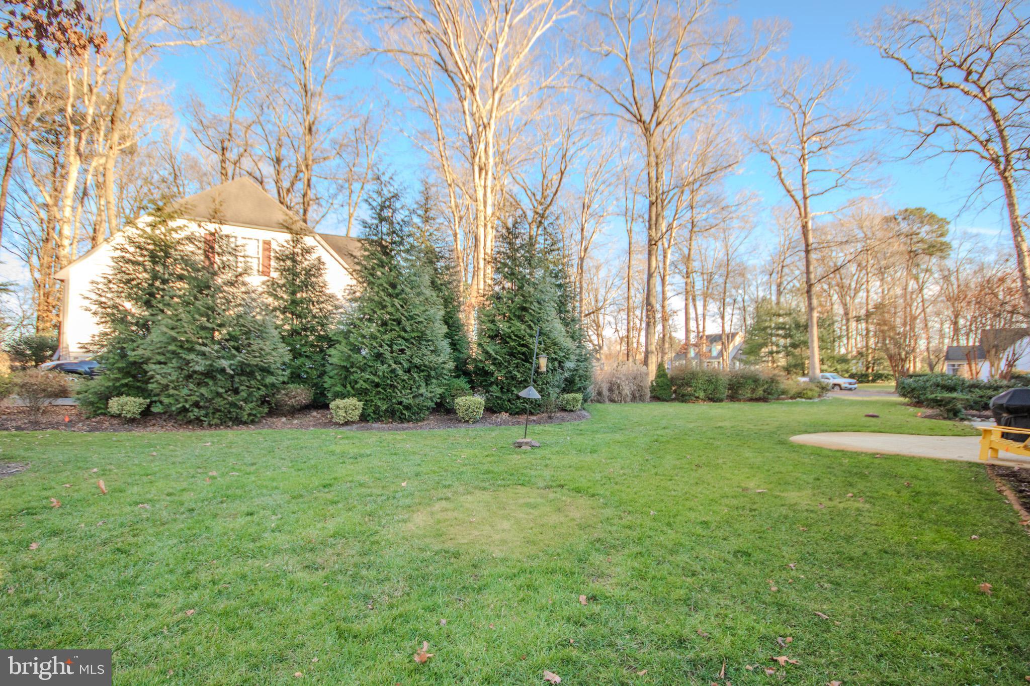 OLDE TOWN - Residential