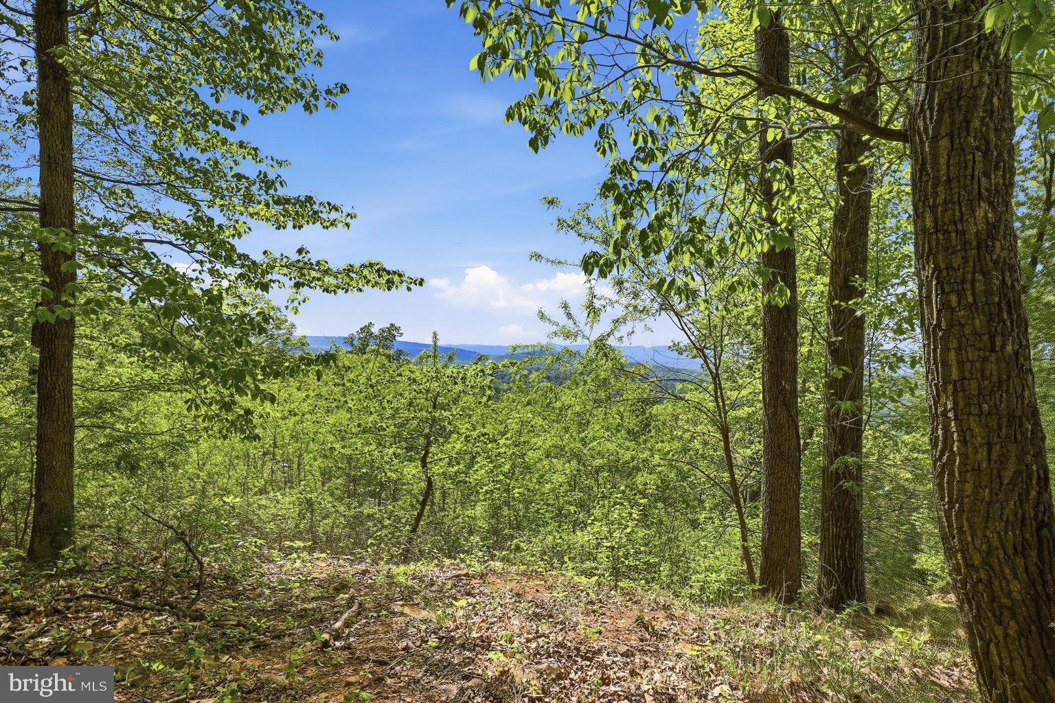 APPLE MT LAKE - Residential