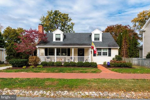 203 MULBERRY SAINT MICHAELS MD 21663