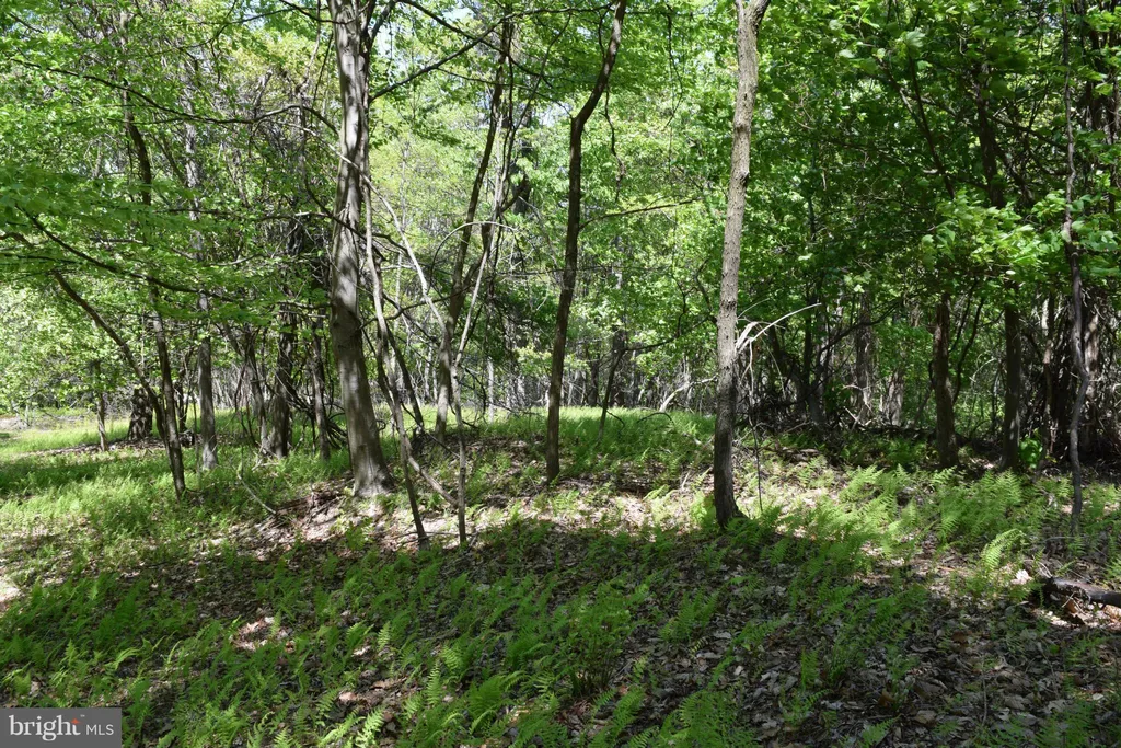 24 Elkhorn Sub Div, Dorcas, WV 26847