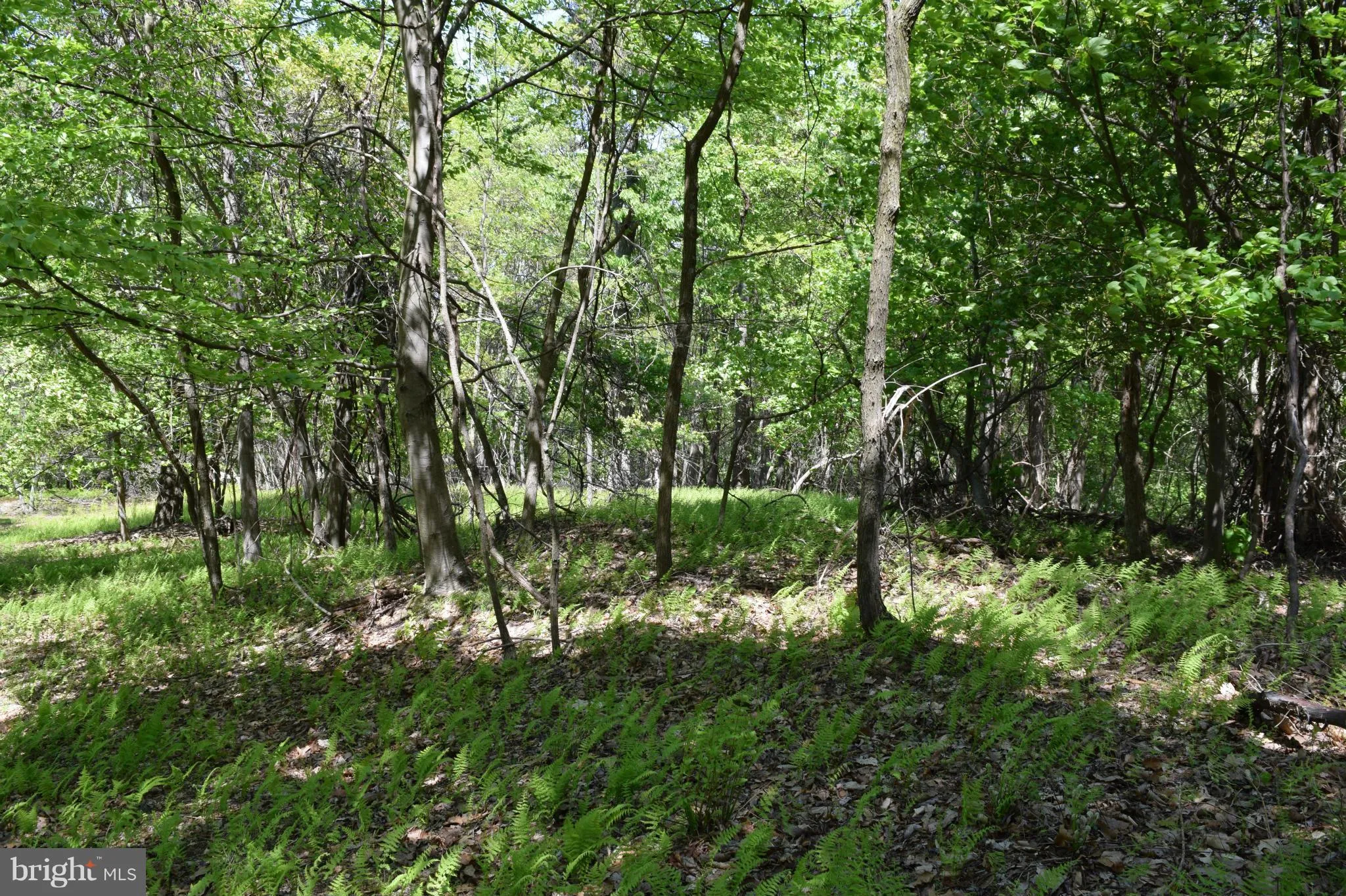 Additional image 2 of 24 Elkhorn Sub Div, Dorcas, WV 26847