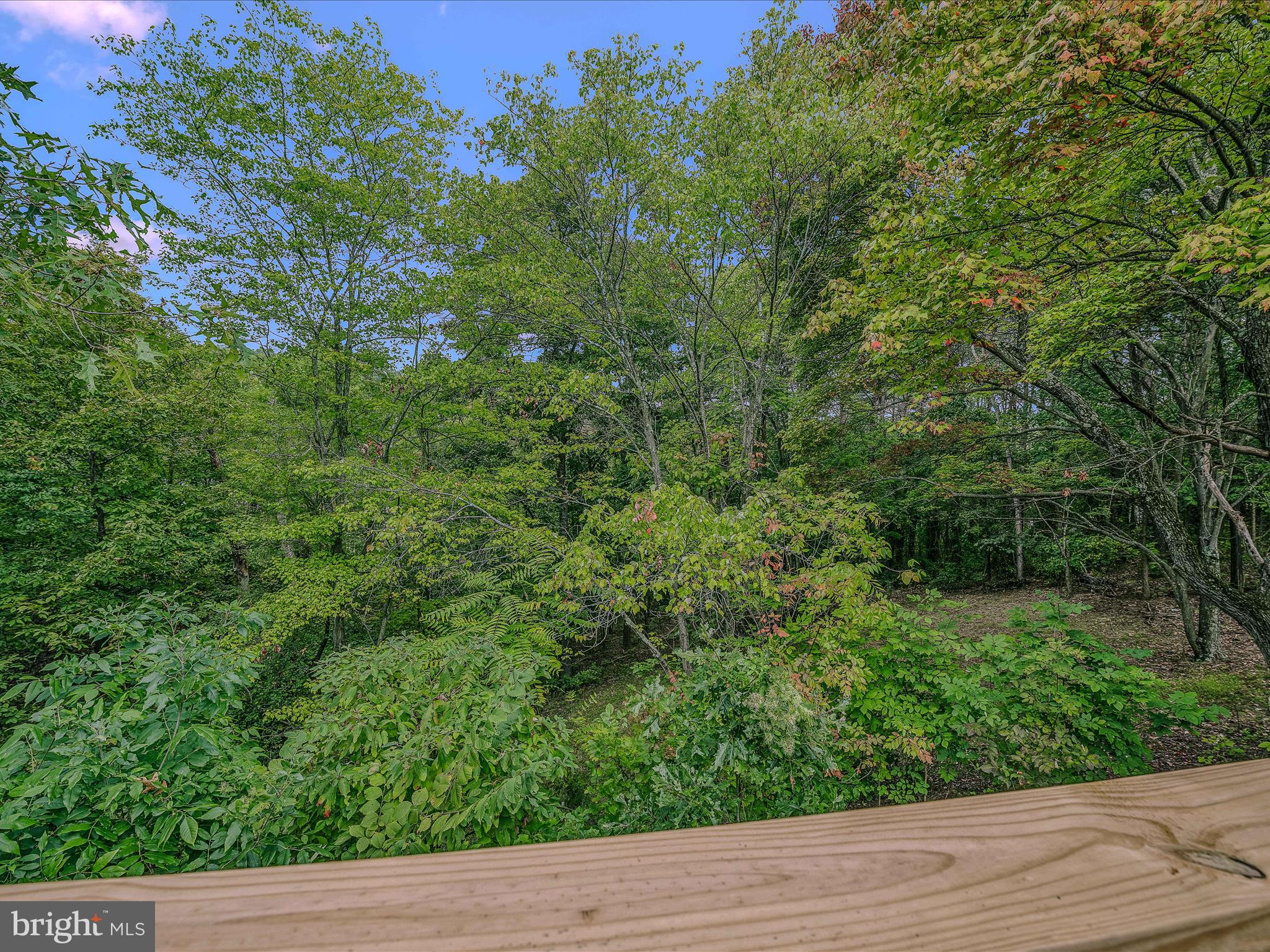 SHIRLEY FARMS - Residential