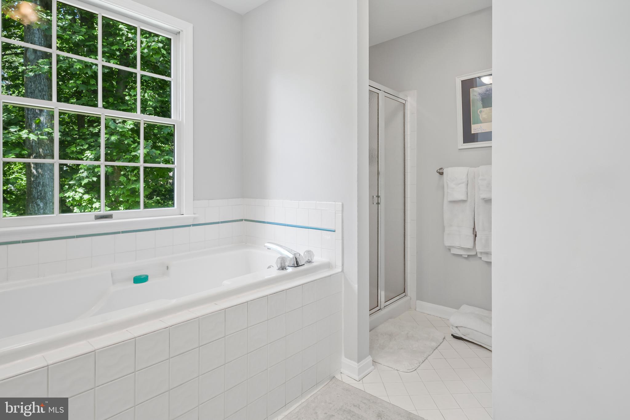 CLEMENS CROSSING - Residential