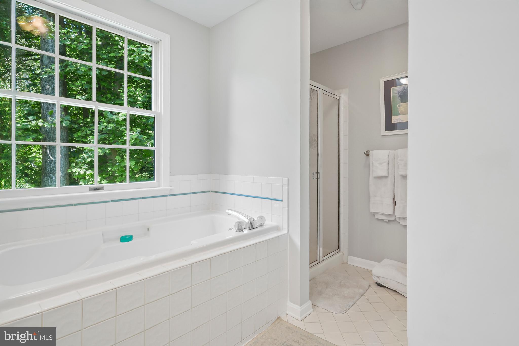 CLEMENS CROSSING - Residential