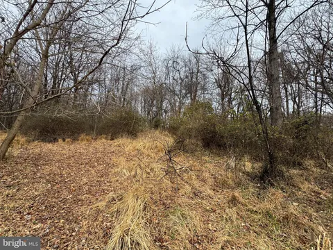 MLS: MDMC2210762