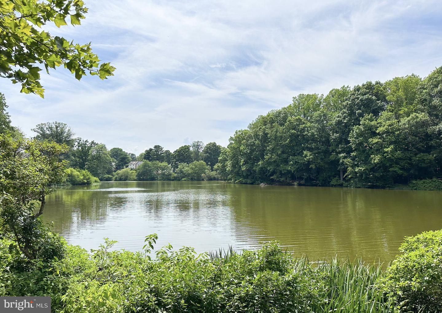 LAKE BRADDOCK - Residential