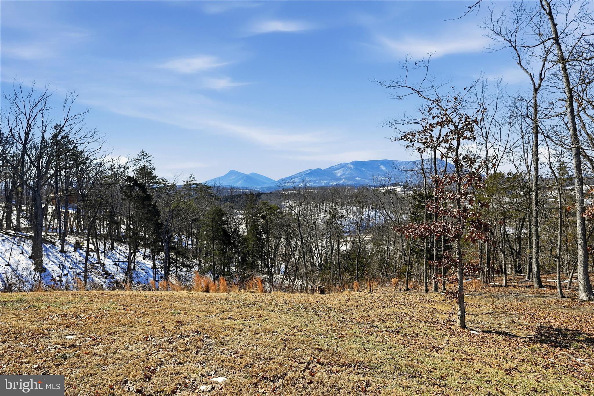 ESTATES AT LAKE JOHN - Farm