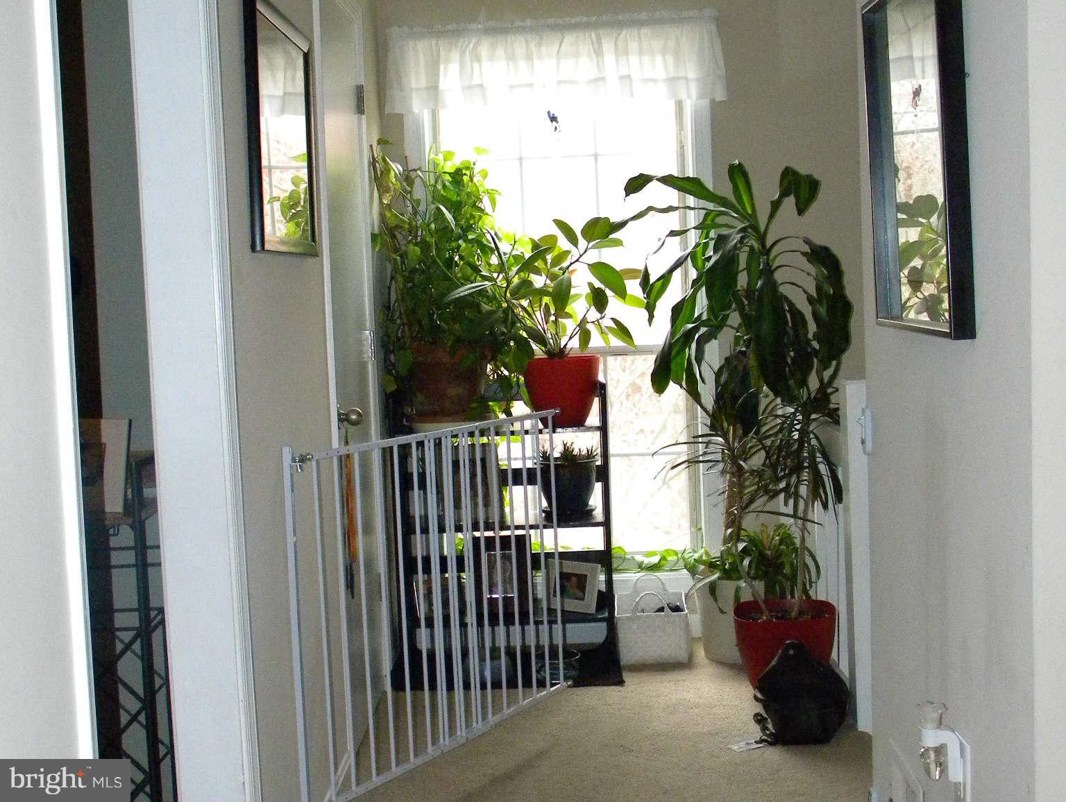 VININGS - Residential