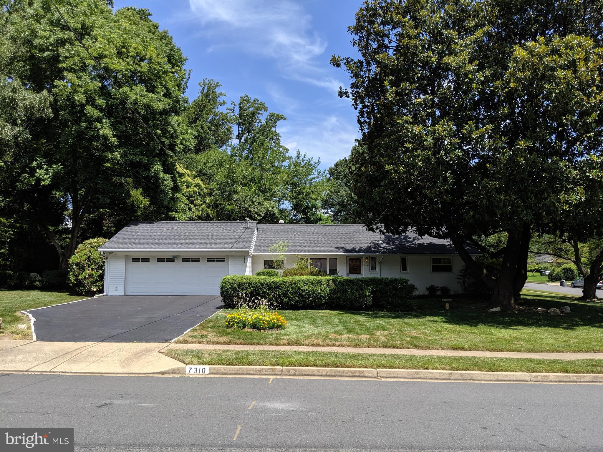 NORTH SPRINGFIELD - Residential