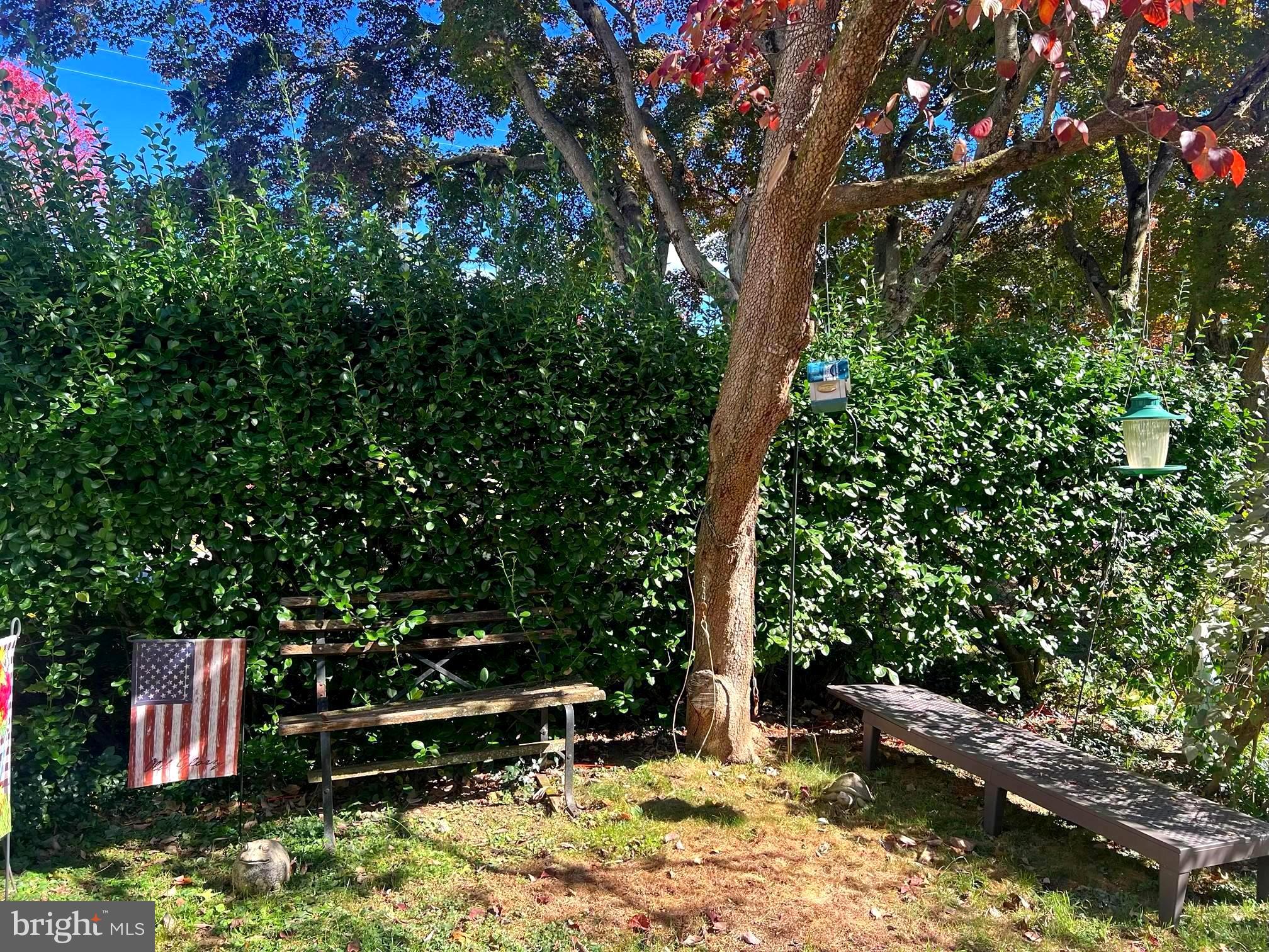 FIVE POINTS - Residential