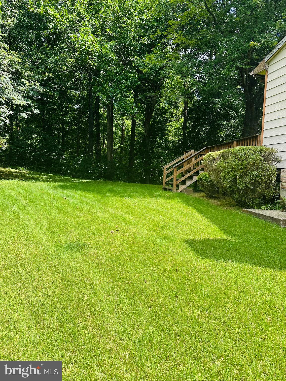 MARLBORO MEADOWS - Residential