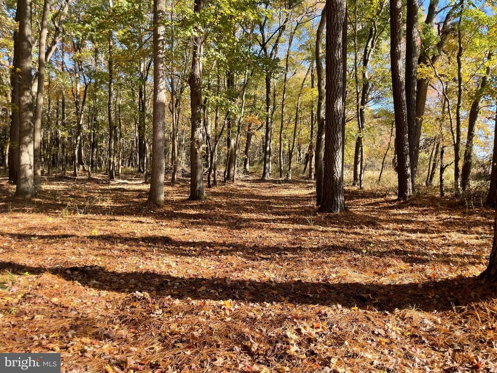 Photo of 5051 Wayman Road, MARION STATION, MD 21838 (MLS # MDSO2006532)