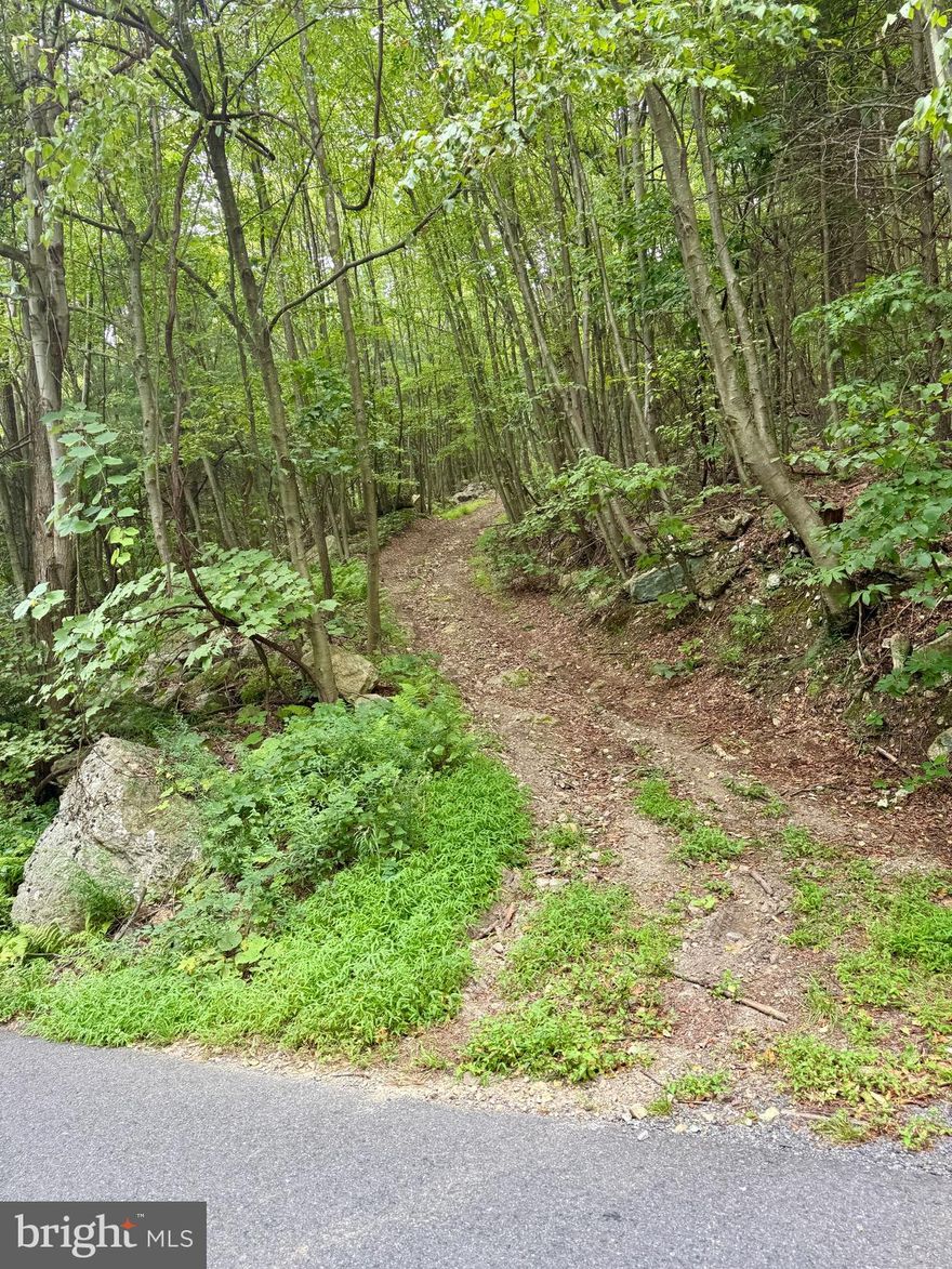 Discover 367.6 acres of prime Pennsylvania hunting land with breathtaking views of Raystown Lake and abundant wildlife. This property is home to bear, turkey, deer, grouse, pheasant, coyote, and so much more—making it an outdoorsman’s dream.

Bordering State Game Lands 118 and 73, you’ll enjoy direct access to over 5,463 acres of additional recreation and hunting opportunities. Conveniently located just off a paved road, the property offers two access points: a private rough-cut road and a second access road at the top of the mountain.

This vast property is a true outdoorsman’s paradise, offering endless possibilities for hunting, hiking, ATV riding, and exploring the great outdoors. With its mixture of timber, trails, and natural beauty, this land provides both seclusion and adventure. Whether you’re seeking the perfect recreational retreat, a private hunting preserve, or a long-term investment, the sheer size and location of this property make it an exceptional find.