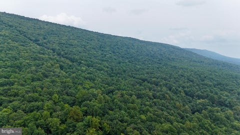 Vacant Land For Sale - Mountain Road<br/> JAMES CREEK, PA 16657