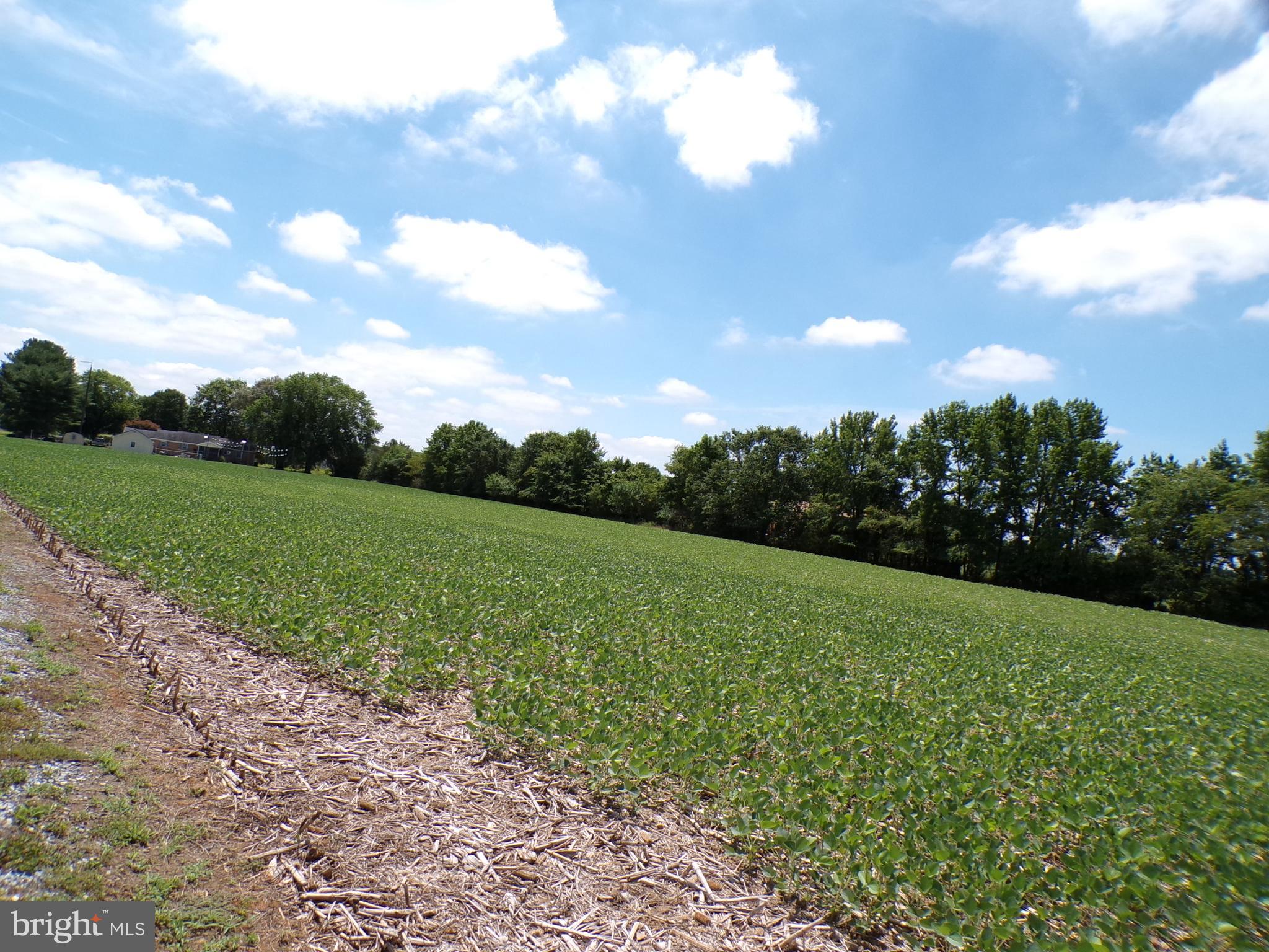 Lot 3 DUTCHERS WAY