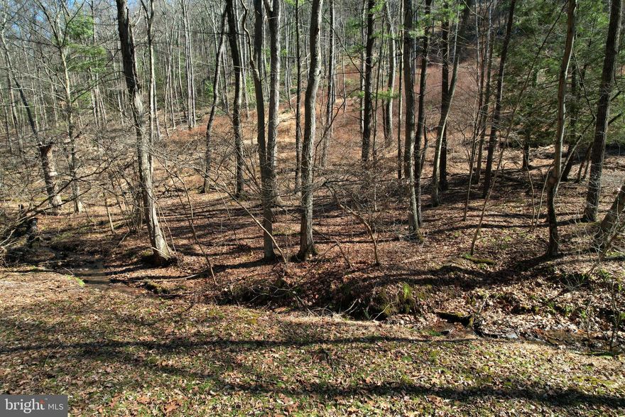 Amazing opportunity to build your getaway in total seclusion, only minutes from Beaver Stadium. This nearly 19 acre parcel is accessed off of a private lane and offers multiple building locations depending on your dream. The parcel is mostly wooded with a cleared area just off of Camp Ln that's most conducive to building. If you're seeking 360 degree views as far as the eye can see, you can build at the top of the ridge. Property will need well, septic and electric run farther down Camp Ln if you're building unless you choose to use propane or solar energy for your getaway. Located in Patton Township in the State College School District.
