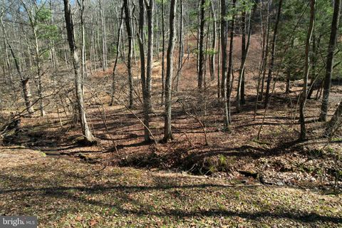 Vacant Land For Sale - LOT ON Camp Lane<br/> Centre County, STATE COLLEGE, PA 16803