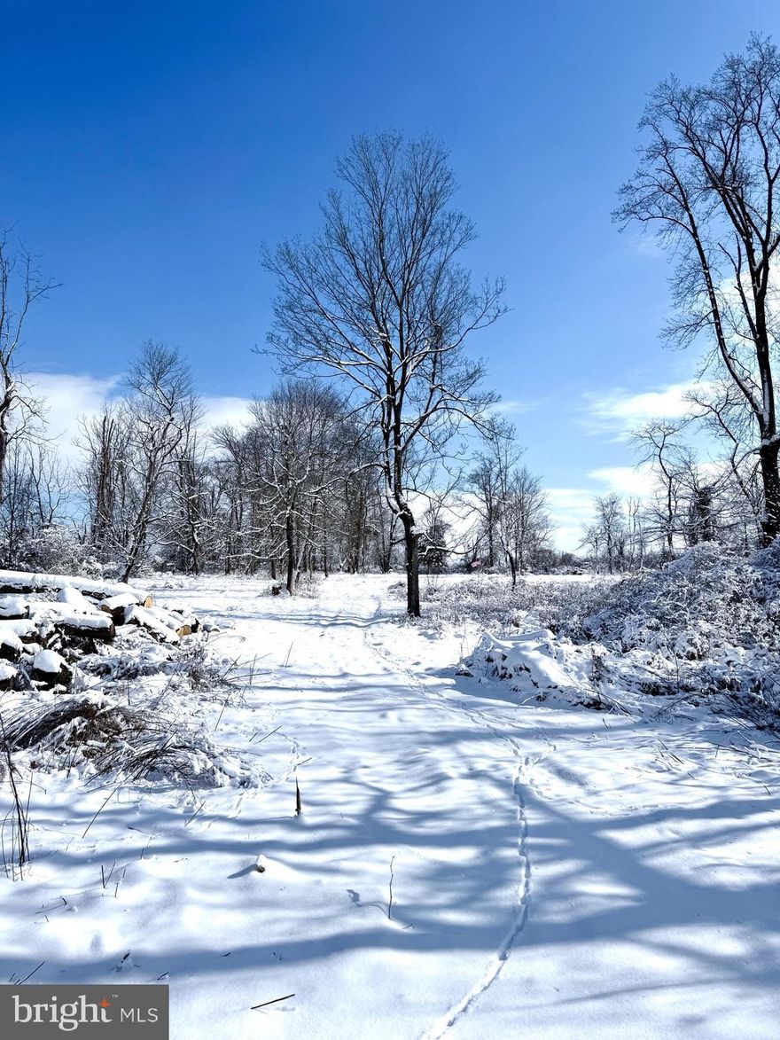 Absolutely beautiful, elevated, 4.5ac partially wooded and private flag lot. Enjoy the picturesque setting and nature views while being only 5 minutes from downtown Newtown with it’s fantastic restaurants and shopping. Huge building envelope with plenty of available impervious surface to build your dream home, pool, patio’s, detached garages ect. Lot is fully subdivided with separate tax parcel number and ready for your permit submissions. Most of the clearing has been completed. New well and septic required.