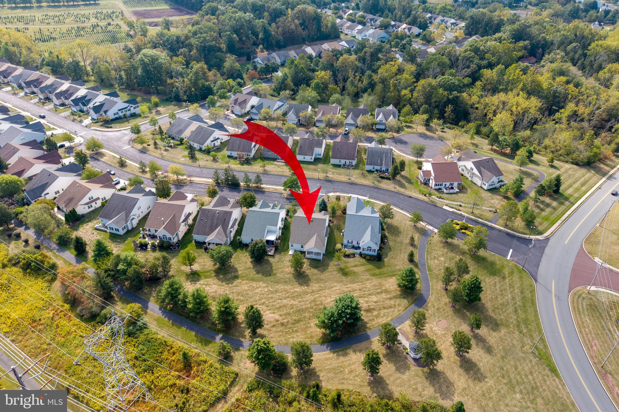 THE MEADOWS AT SKI - Residential