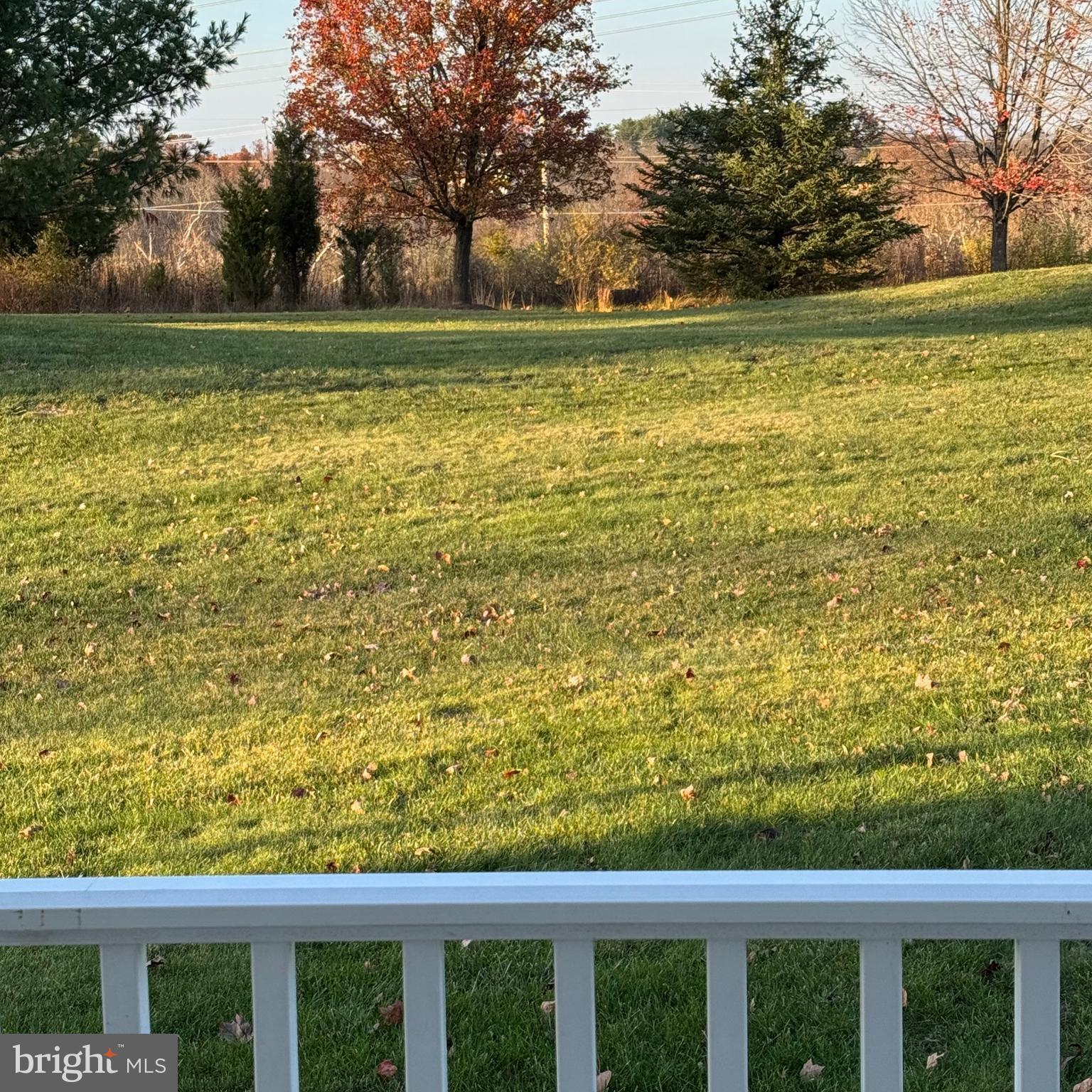 THE MEADOWS AT SKI - Residential