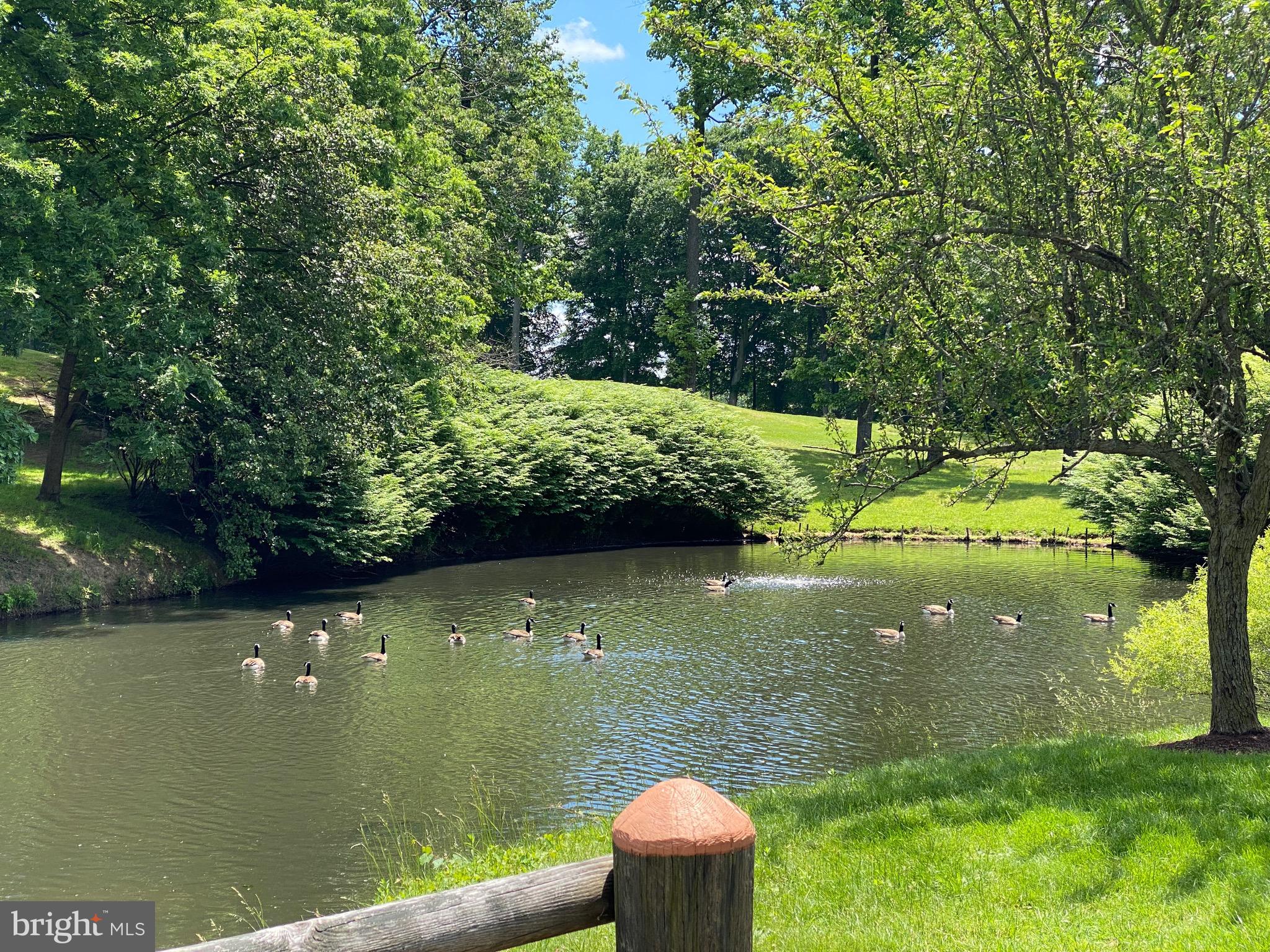 GREENS AT LEISURE WORLD - Residential