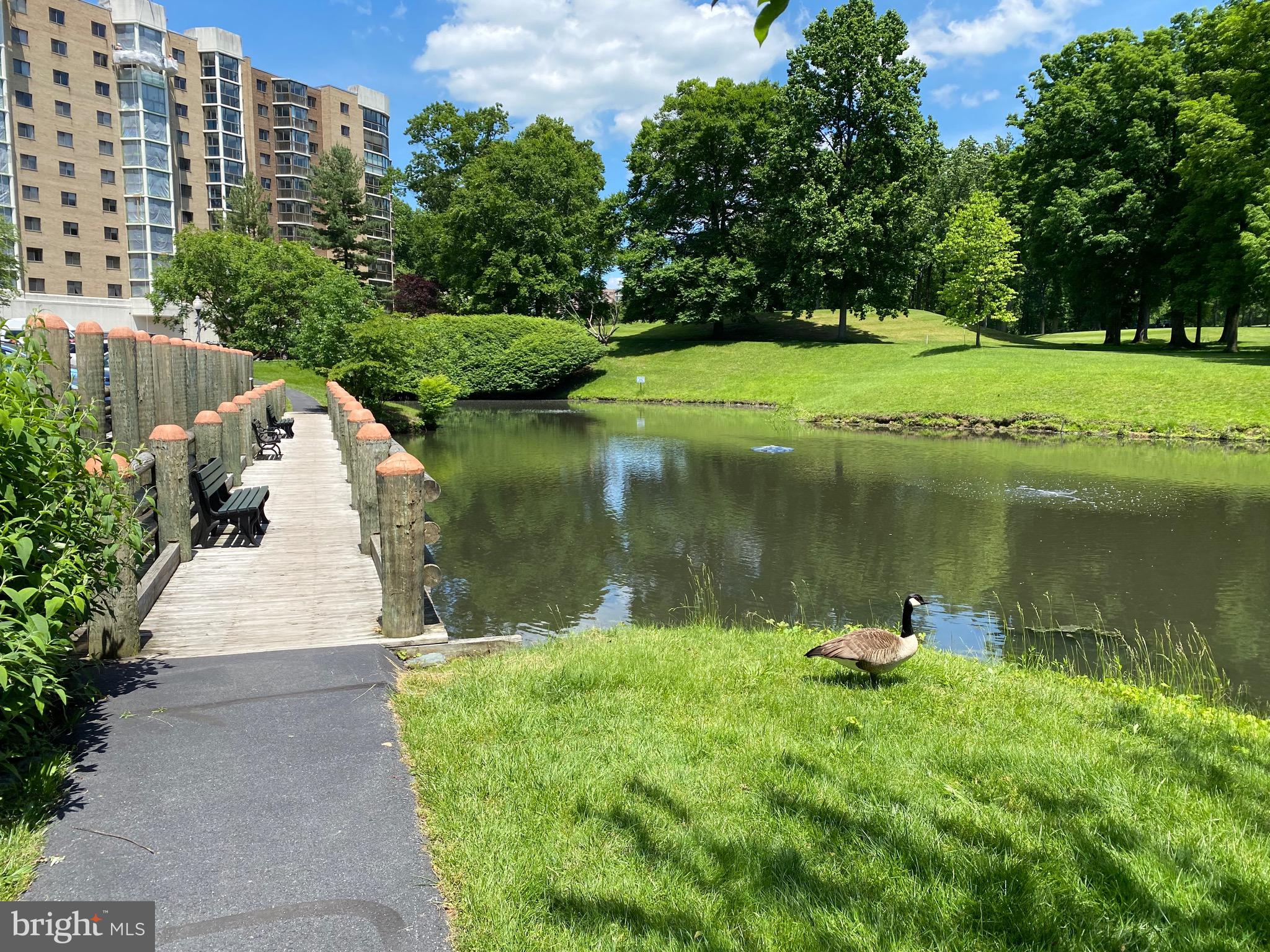 GREENS AT LEISURE WORLD - Residential