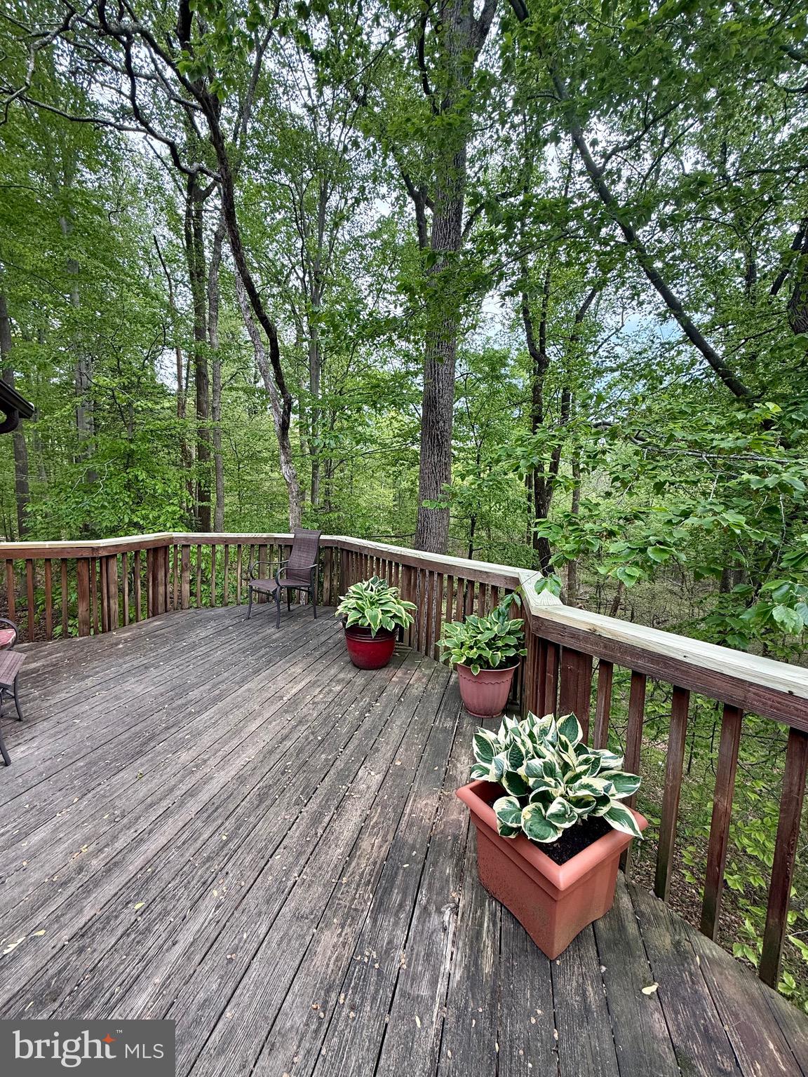 FORT WASHINGTON ESTATES - Residential