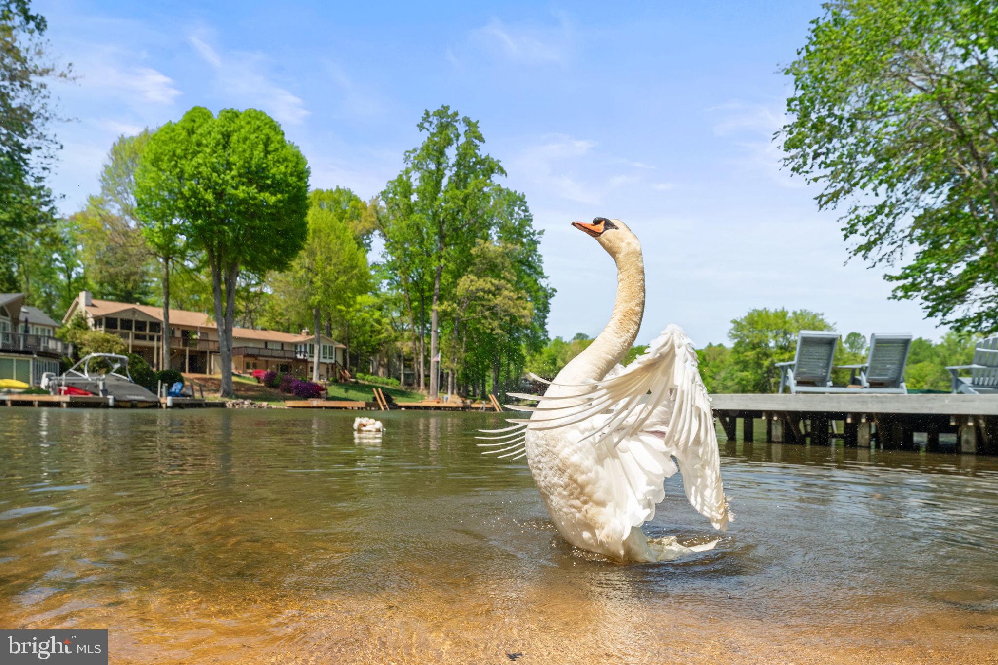 LAKE OF THE WOODS - Residential