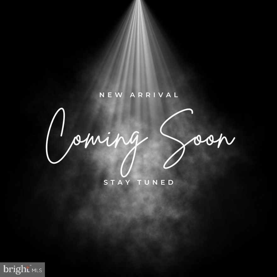 Professional photos will be uploaded on 2/11 evening