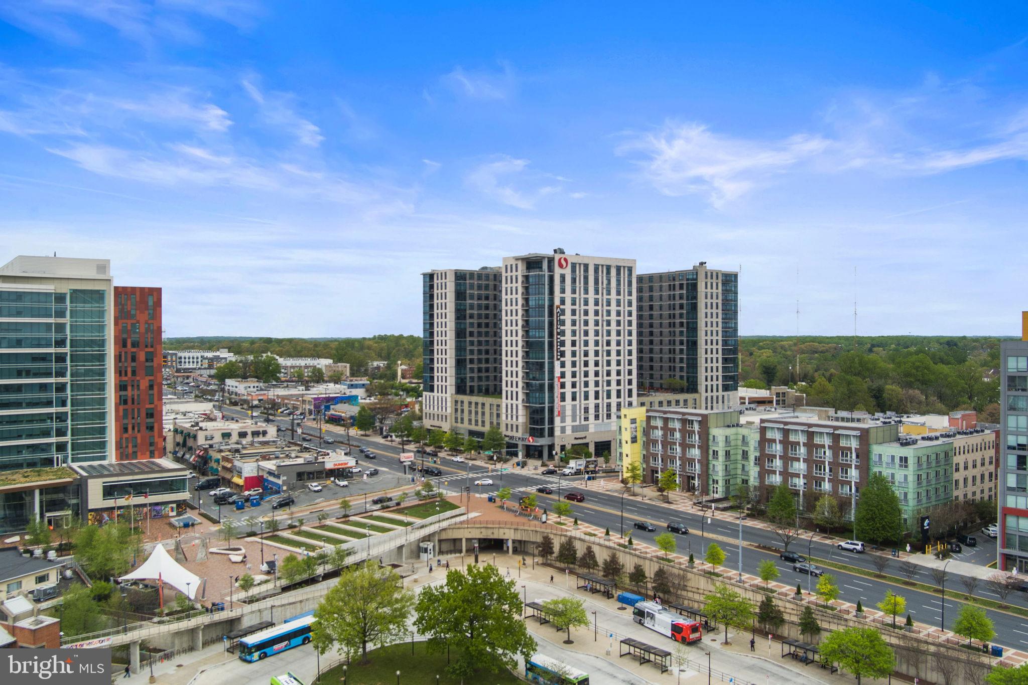 WHEATON FOREST - Residential