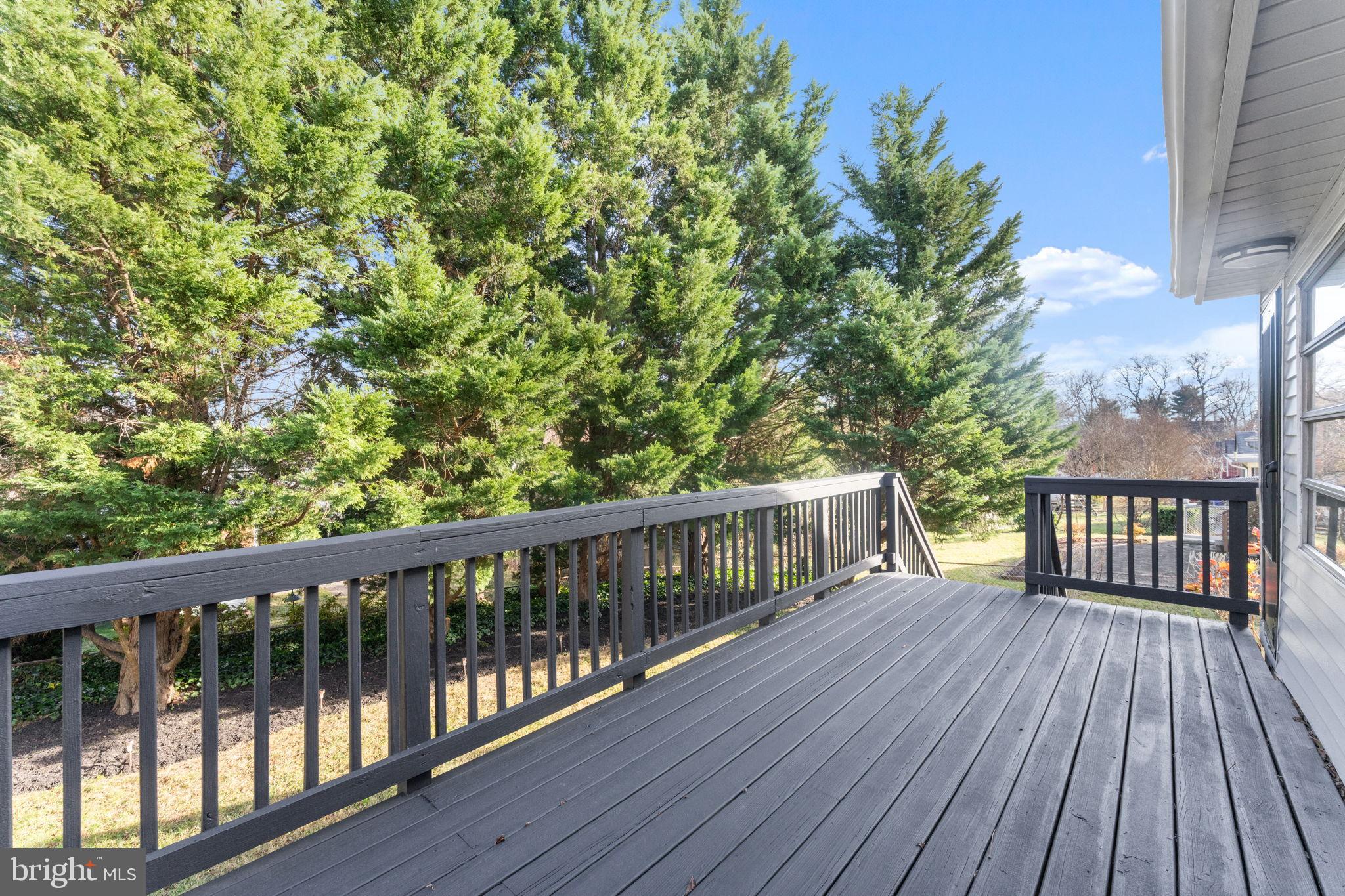 WHEATON FOREST - Residential