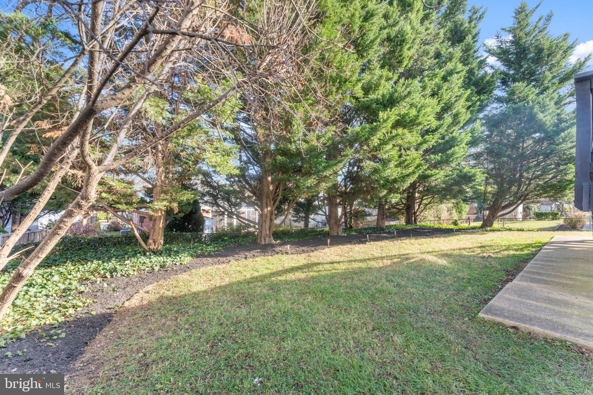 WHEATON FOREST - Residential