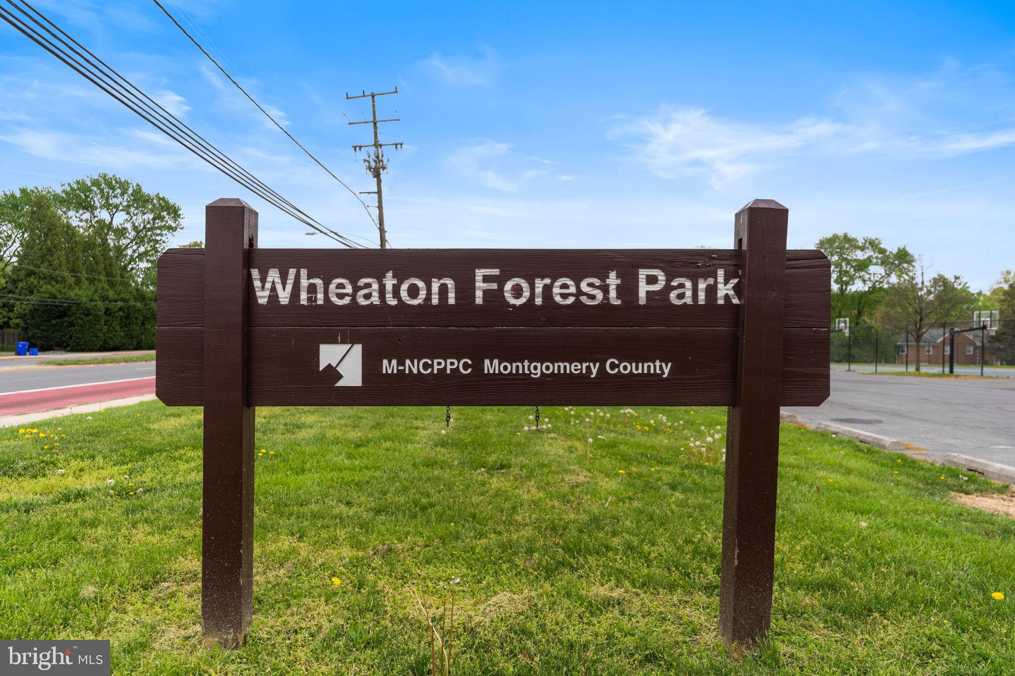 WHEATON FOREST - Residential