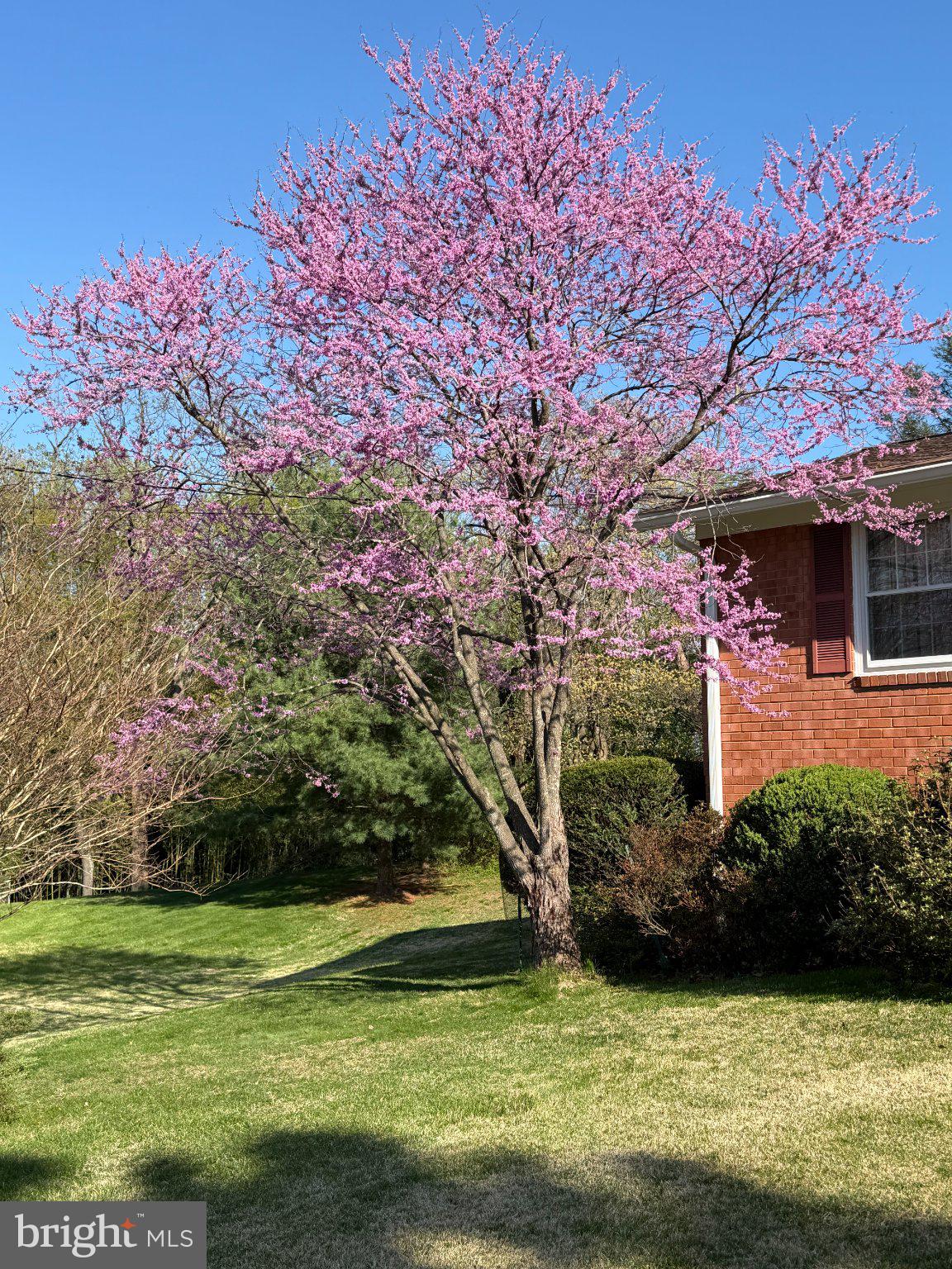 PAINT BRANCH ESTATES - Residential