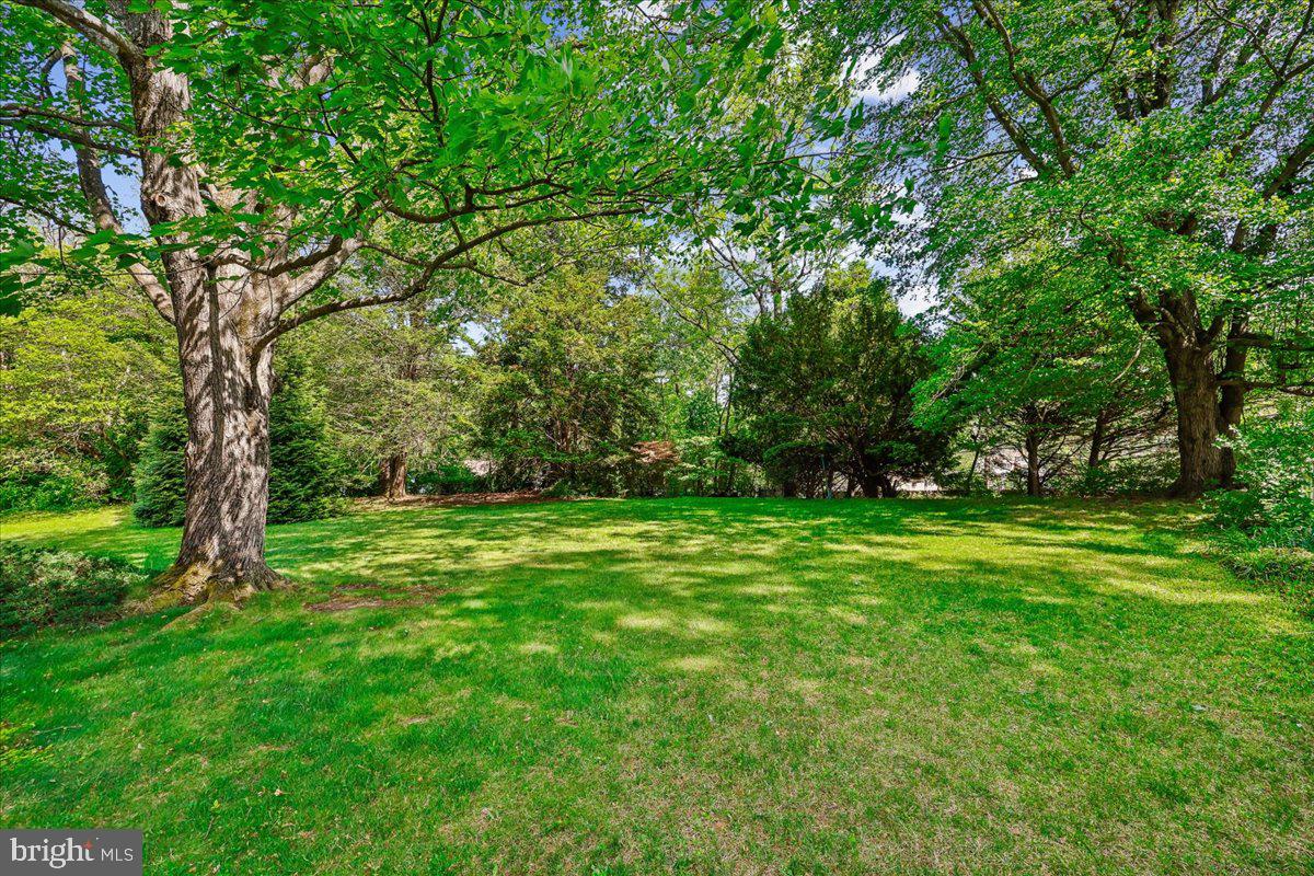 PAINT BRANCH ESTATES - Residential