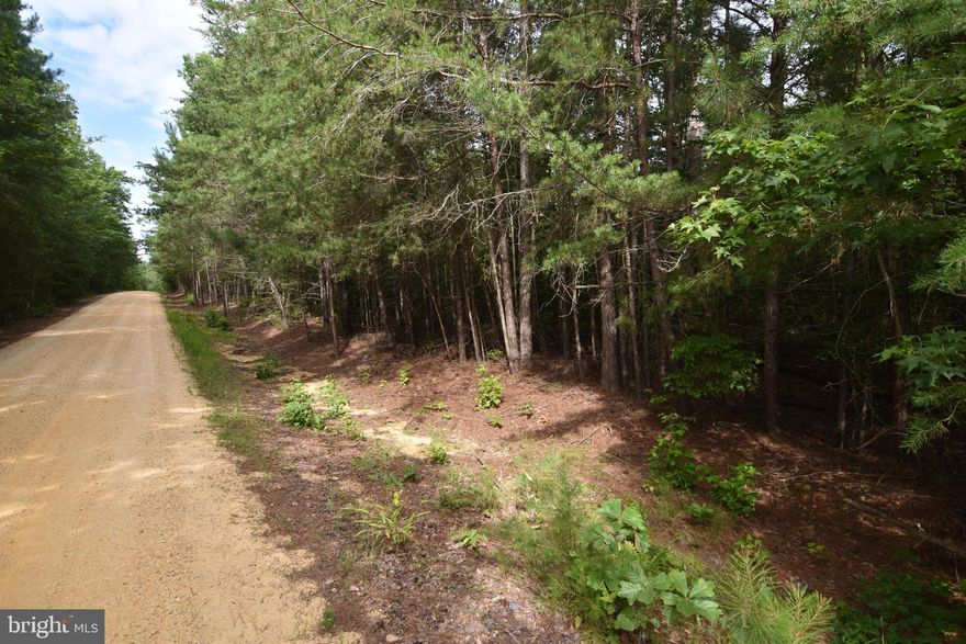 Lovely 16 acre farmstead in Leonardtown.  Recorded perc, covenants & shared road maintenance.  This is the  only lot that hasn't been built on yet in a small 5 lot farmstead subdivision.  Horses allowed.  Owners had electric installed & a light pole.  Listing agent related to owners.