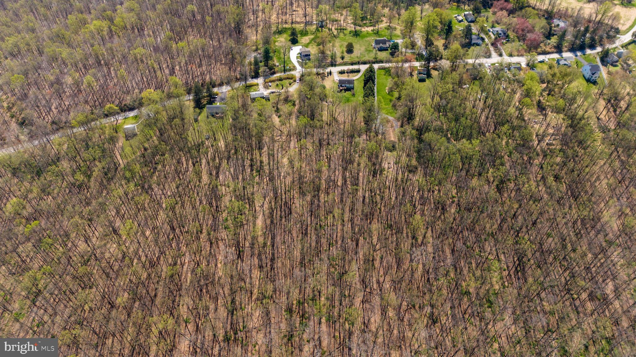 17346 BIG FALLS