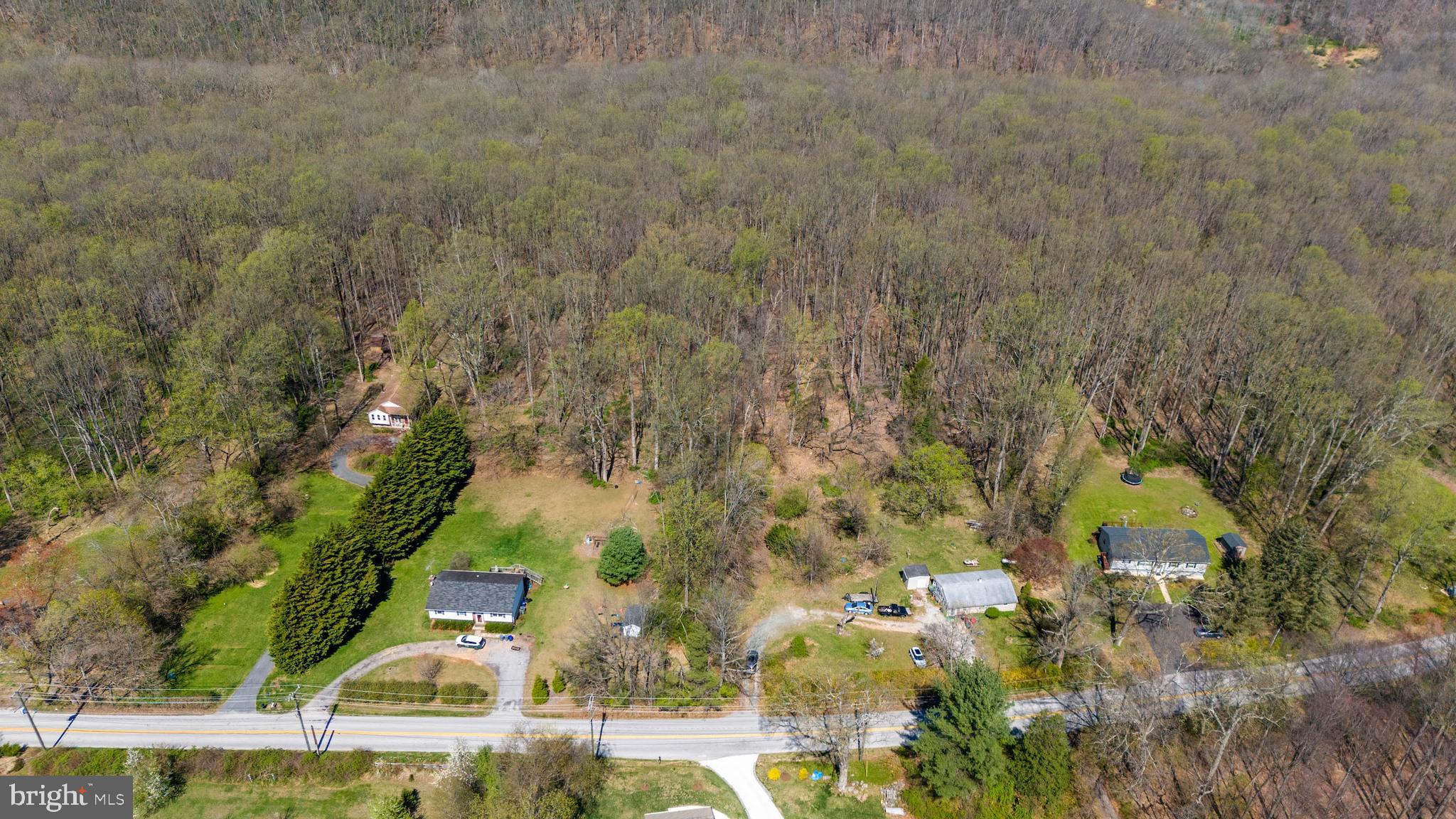 17346 BIG FALLS
