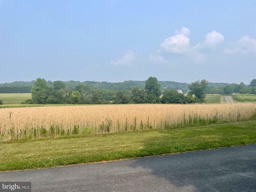 GREAT piece of land for building your dream home!  Over an acre and a half of level land, cleared, green, ready to go.  Well is in place, and perced for septic.  EXCELLENT location with a country feel, but close to everything, including shopping, gas, groceries, restaurants, etc., and with quick access to 70/15/270. NO city taxes! Building lots this good are rare, so snag it now. Additionally, owner is a builder and has various plans to choose from if desired. Listed also as new construction, see MLS#  MDFR2037270. 
Go and show! Sign on property, some boundary markers to help you see it, as there is corn planted all around.  Look for photos soon, and call for info.