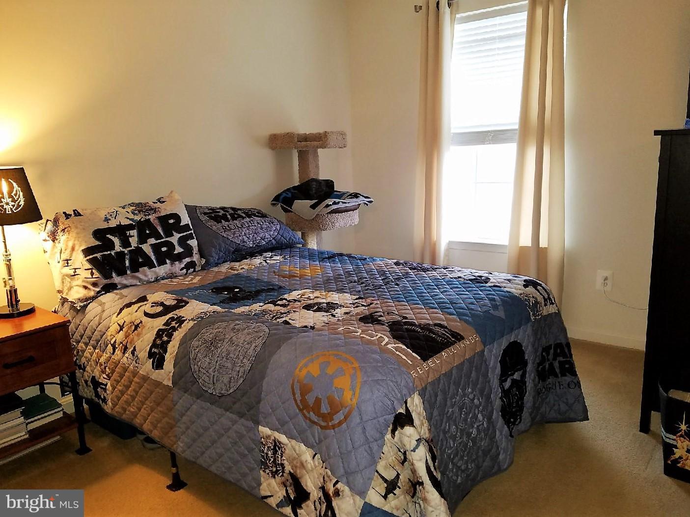 LAKEVIEW OF CULPEPER - Residential