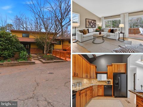 11203 LEATHERWOOD DRIVE RESTON VA 20191