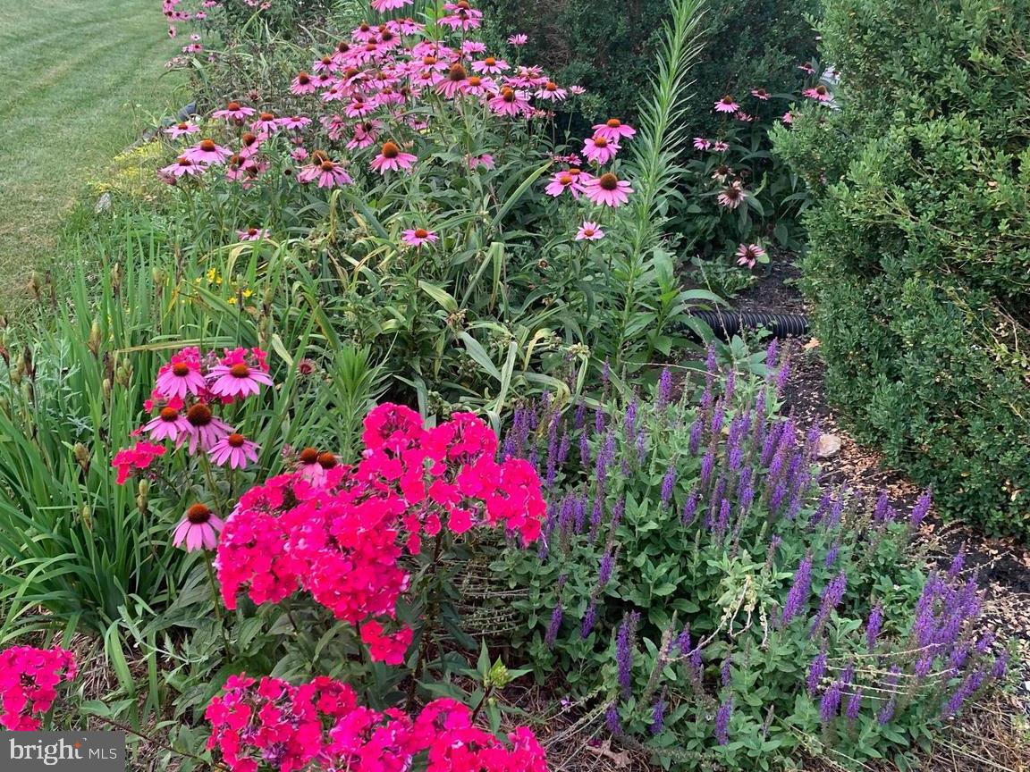 BLOSSOM HILL - Residential