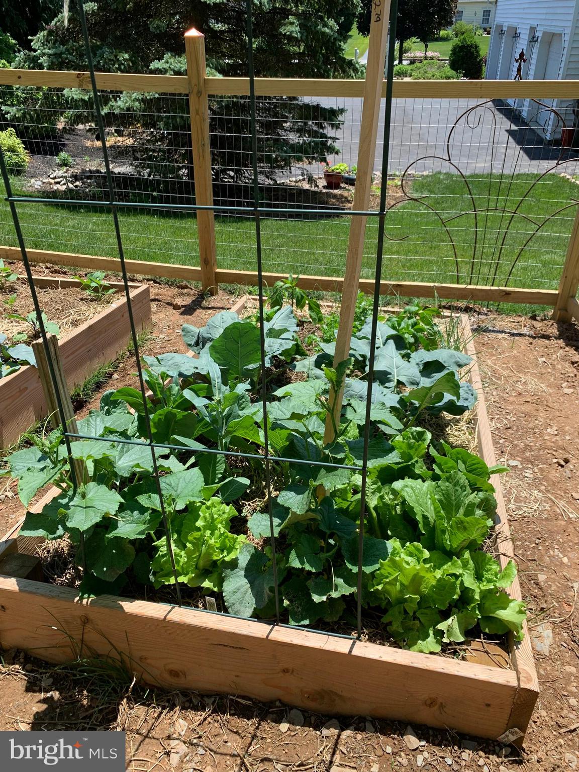 BLOSSOM HILL - Residential