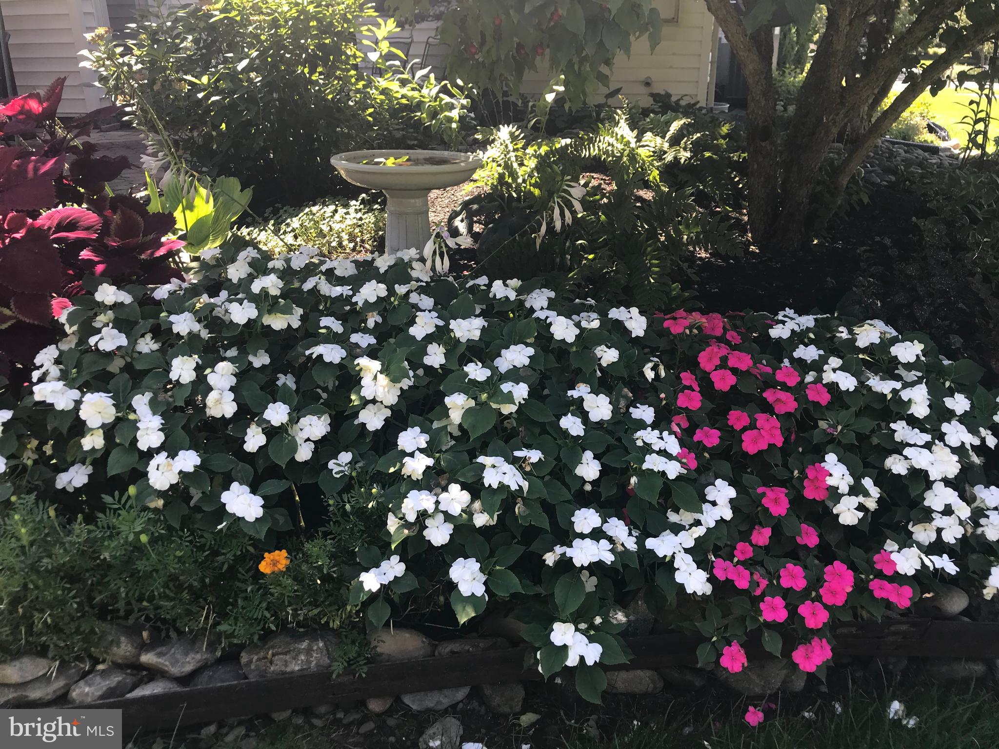 BLOSSOM HILL - Residential