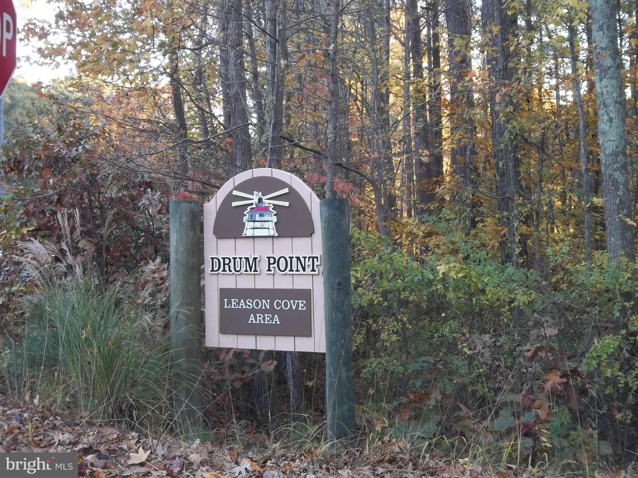 DRUM POINT - Residential