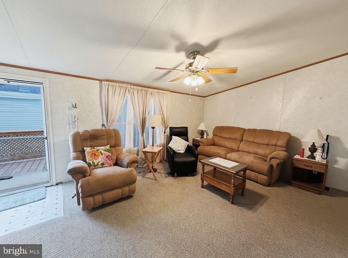 159 PINE CONE DRIVE 159