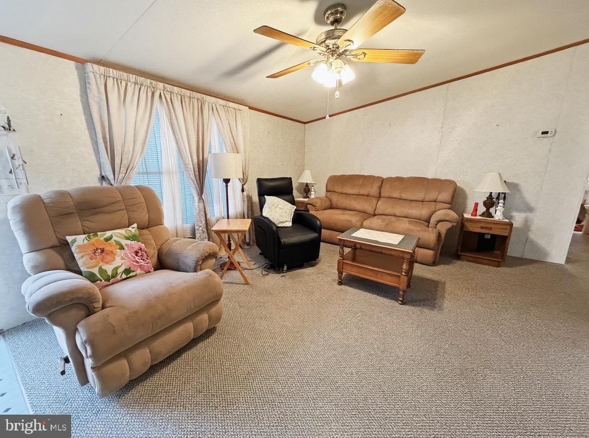 159 PINE CONE DRIVE 159